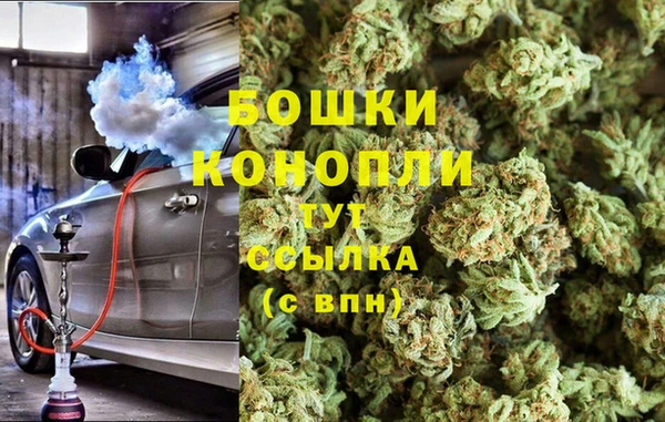 индика Арсеньев