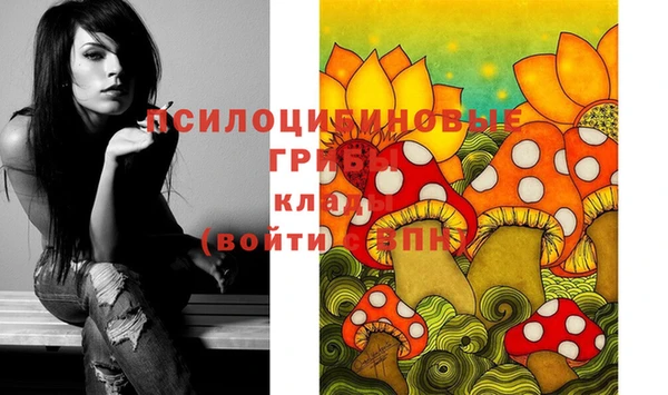 mdpv Балахна