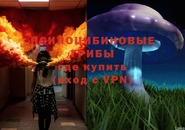каннабис Баксан